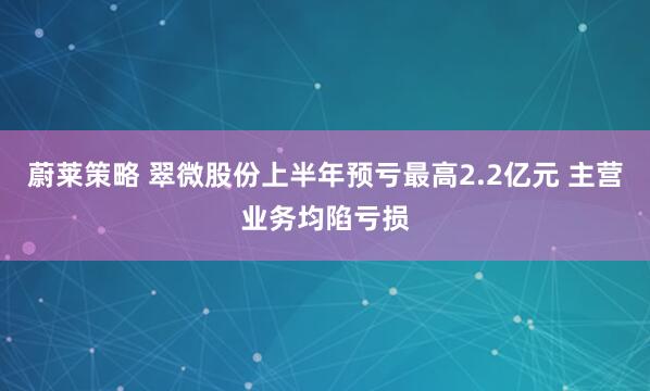 蔚莱策略 翠微股份上半年预亏最高2.2亿元 主营业务均陷亏损