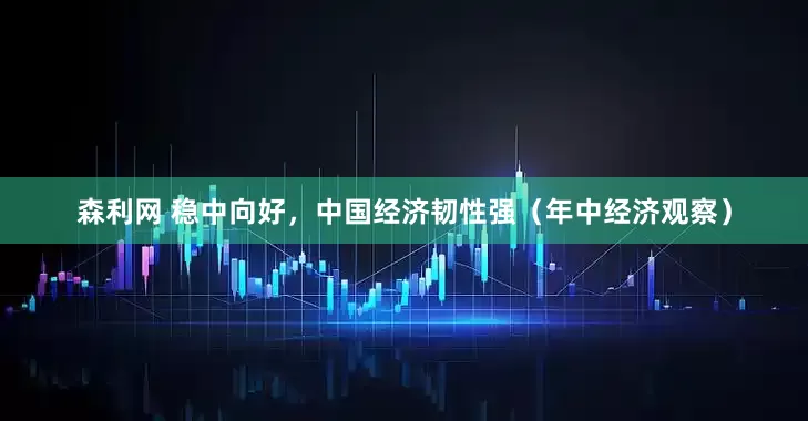 森利网 稳中向好，中国经济韧性强（年中经济观察）