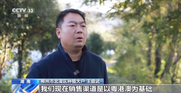 华信配资 视频丨蔬菜贷、民宿贷、水果贷 金融服务“精准滴灌”到田间地头